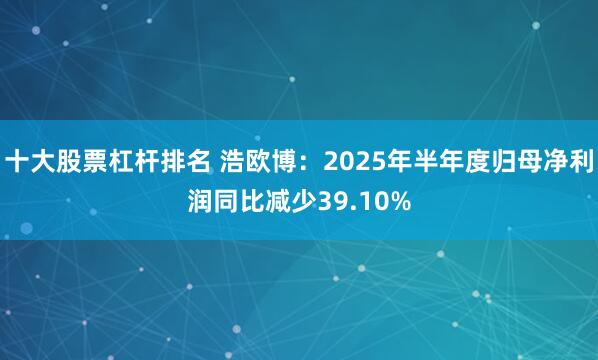 十大股票杠杆排名 浩欧博：2025年半年度归母净利润同比减少39.10%